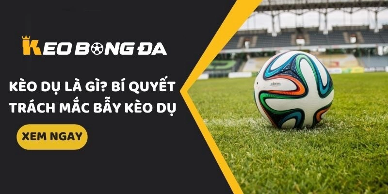 Cách nhận biết kèo dụ hiệu quả trong cá cược bóng đá