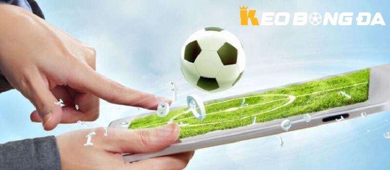 Các Loại Kèo Không Nên Cược Trong Bóng Đá – Cảnh Báo Từ Chuyên Gia