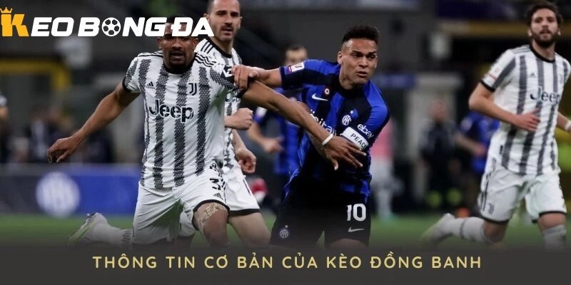 Tìm Hiểu Kèo Đồng Banh – Giải Mã Chi Tiết Từ A Đến Z Cực Chi Tiết