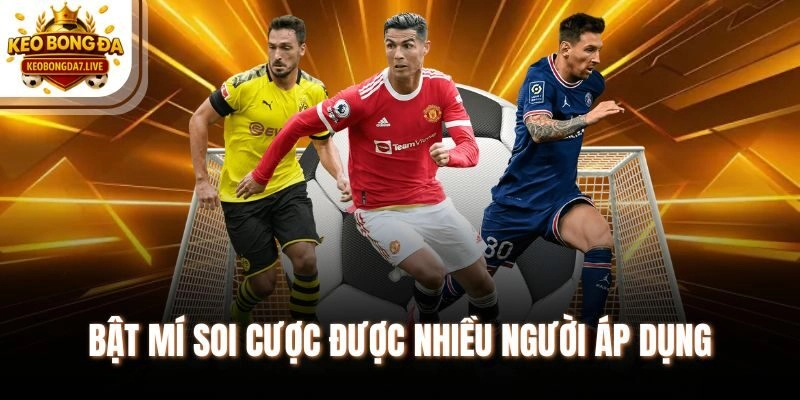 Bật mí soi cược được nhiều người áp dụng