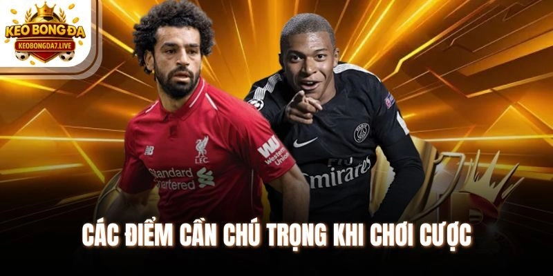 Các điểm cần chú trọng khi chơi cược