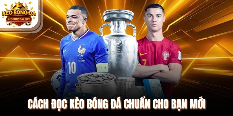Cách đọc kèo bóng đá chuẩn cho bạn mới