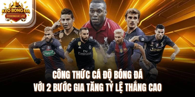 Công Thức Cá Độ Bóng Đá Với 2 Bước Gia Tăng Tỷ Lệ Thắng Cao