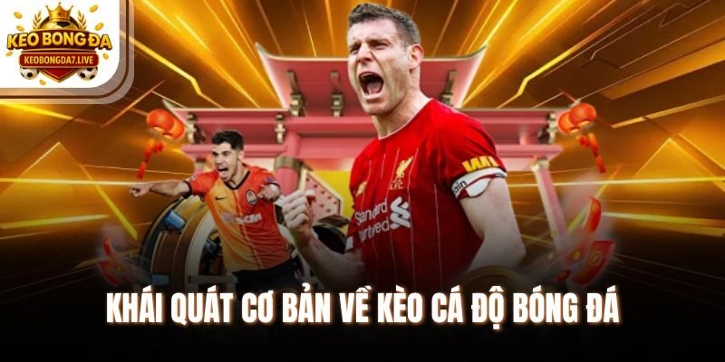 Khái quát cơ bản về kèo cá độ bóng đá