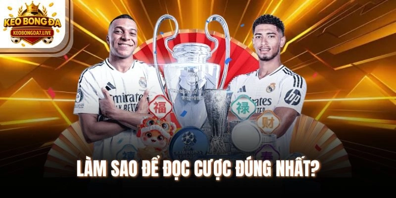 Làm sao để đọc cược đúng nhất?