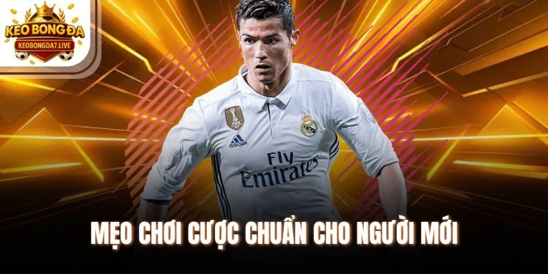 Mẹo chơi cược chuẩn cho người mới