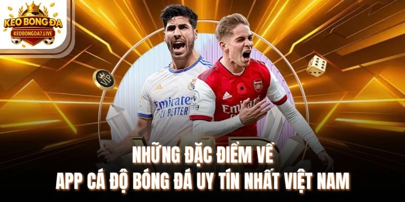 Những đặc điểm về app cá độ bóng đá uy tín nhất Việt Nam