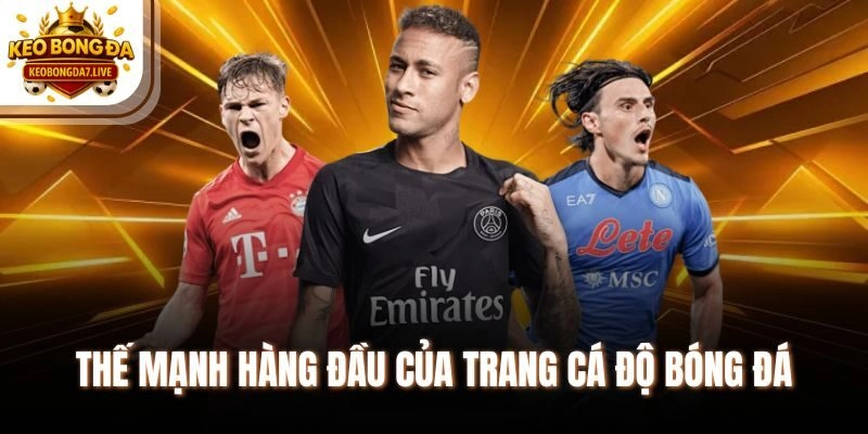 Thế mạnh hàng đầu của trang cá độ bóng đá