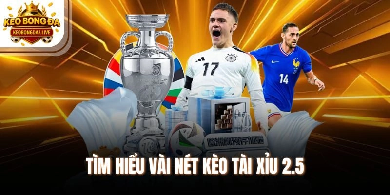 Tìm hiểu vài nét kèo tài xỉu 2.5