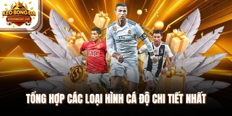 Tổng hợp các loại hình cá độ chi tiết nhất