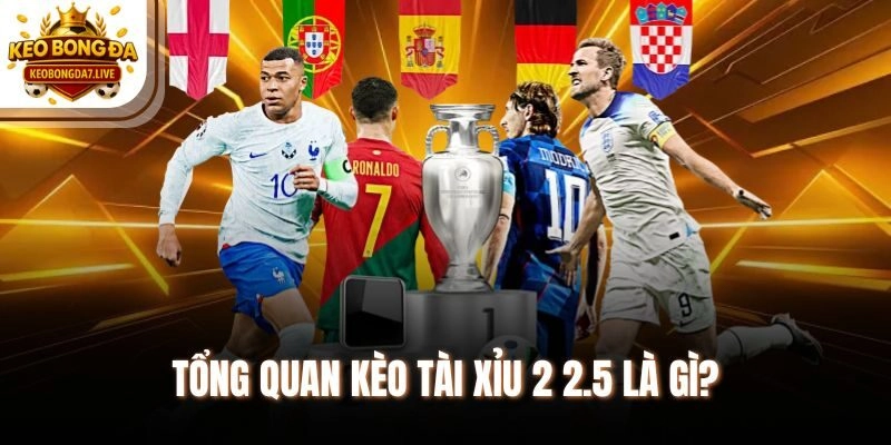 Tổng quan kèo tài xỉu 2 2.5 là gì?