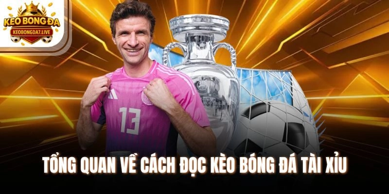 Tổng quan về cách đọc kèo bóng đá tài xỉu