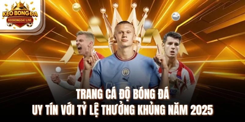 Trang Cá Độ Bóng Đá Uy Tín Với Tỷ Lệ Thưởng Khủng Năm 2025